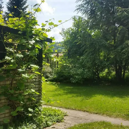 Swinna - Brzozowy Zagajnik Exterior foto
