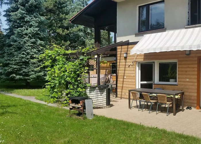 Swinna - Brzozowy Zagajnik