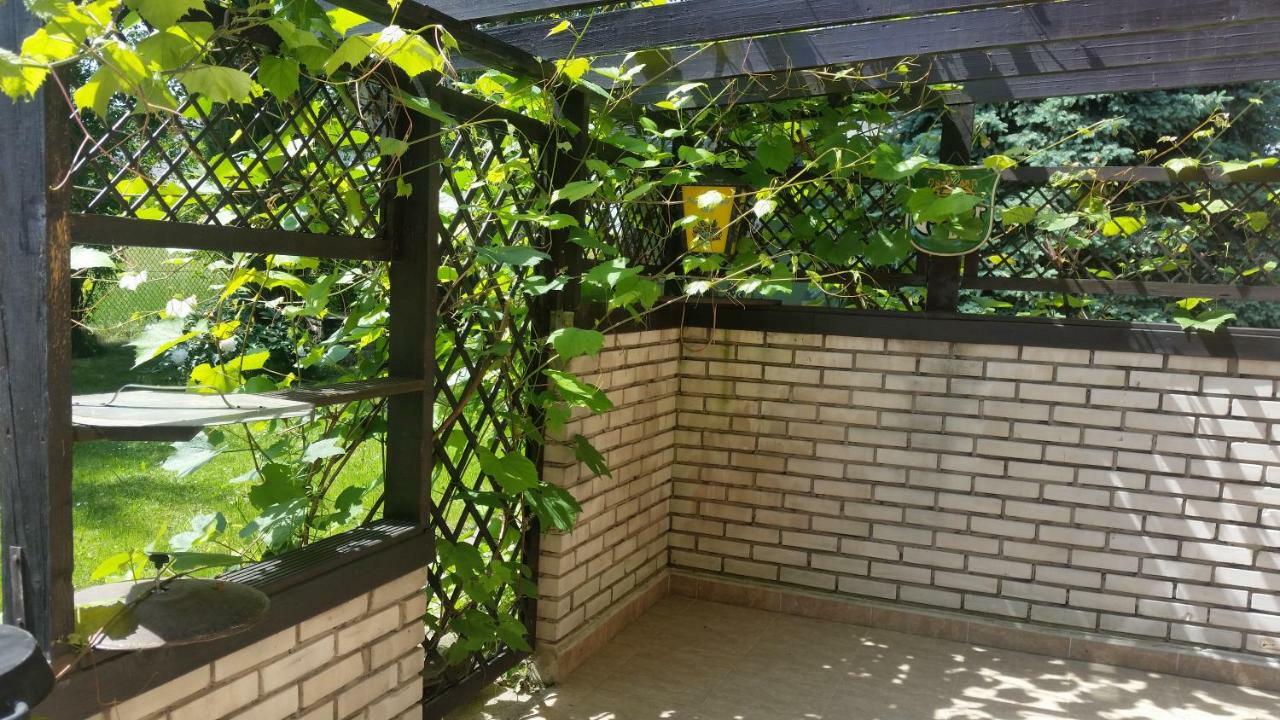 Apartment - Brzozowy Zagajnik