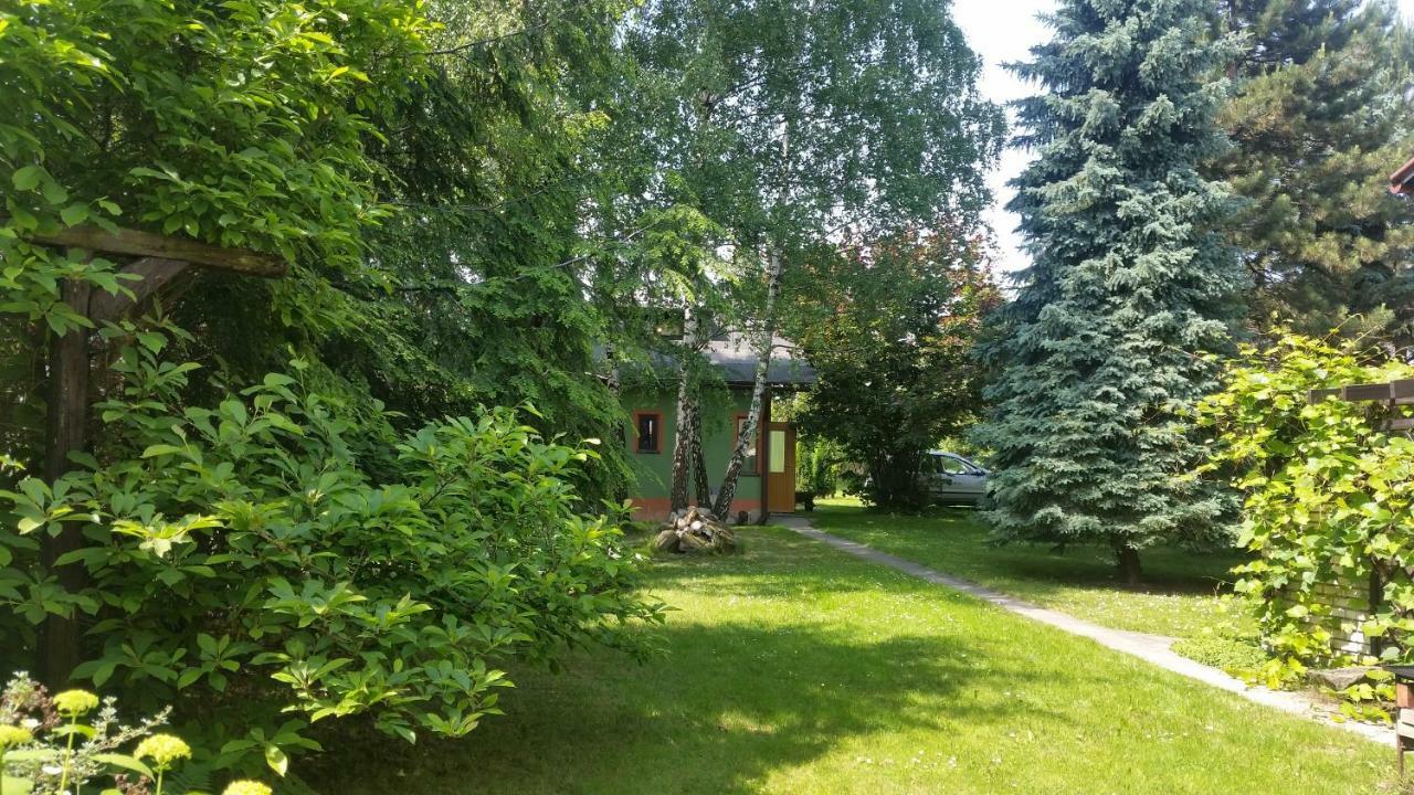 - Brzozowy Zagajnik Apartment