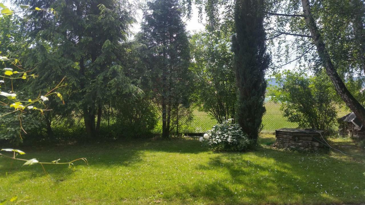 - Brzozowy Zagajnik Apartment Swinna
