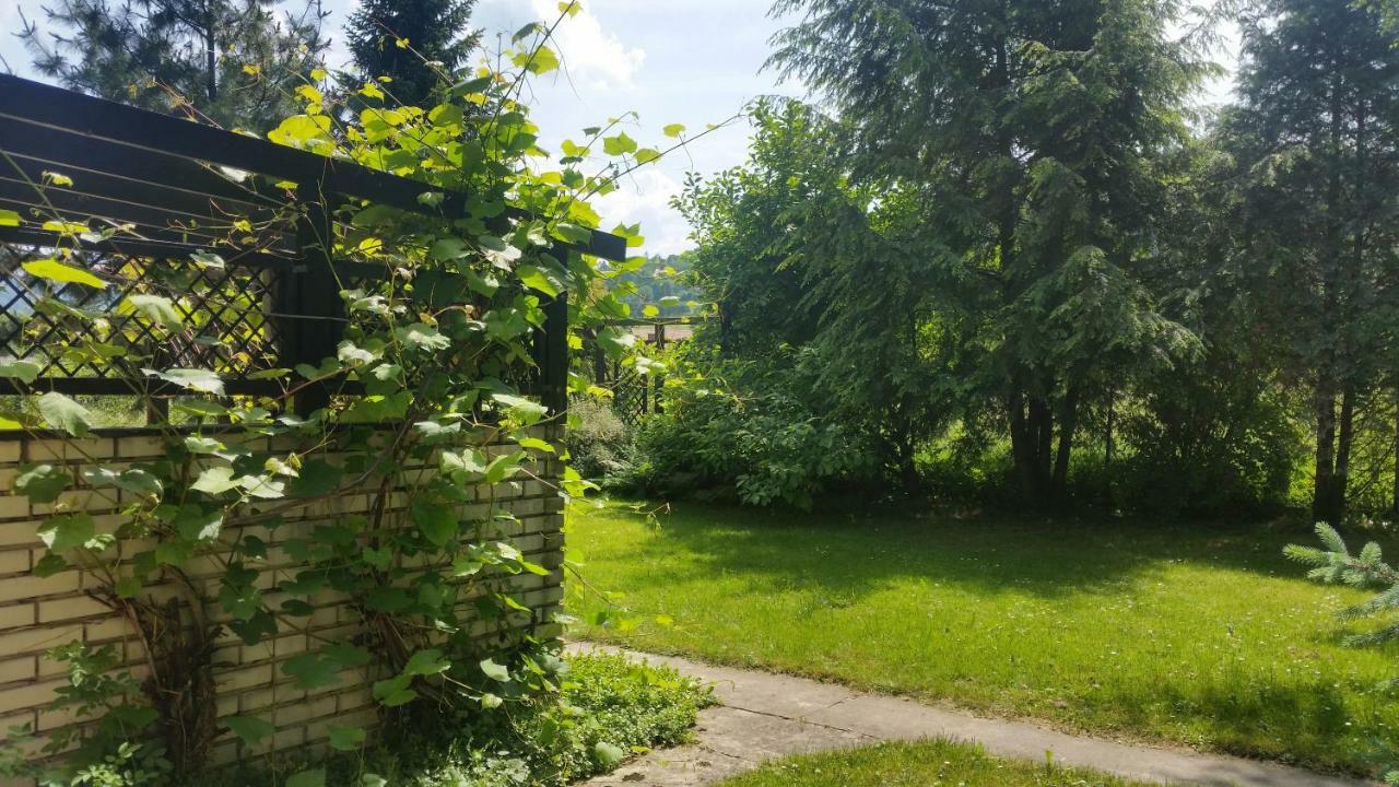 Apartment - Brzozowy Zagajnik Swinna