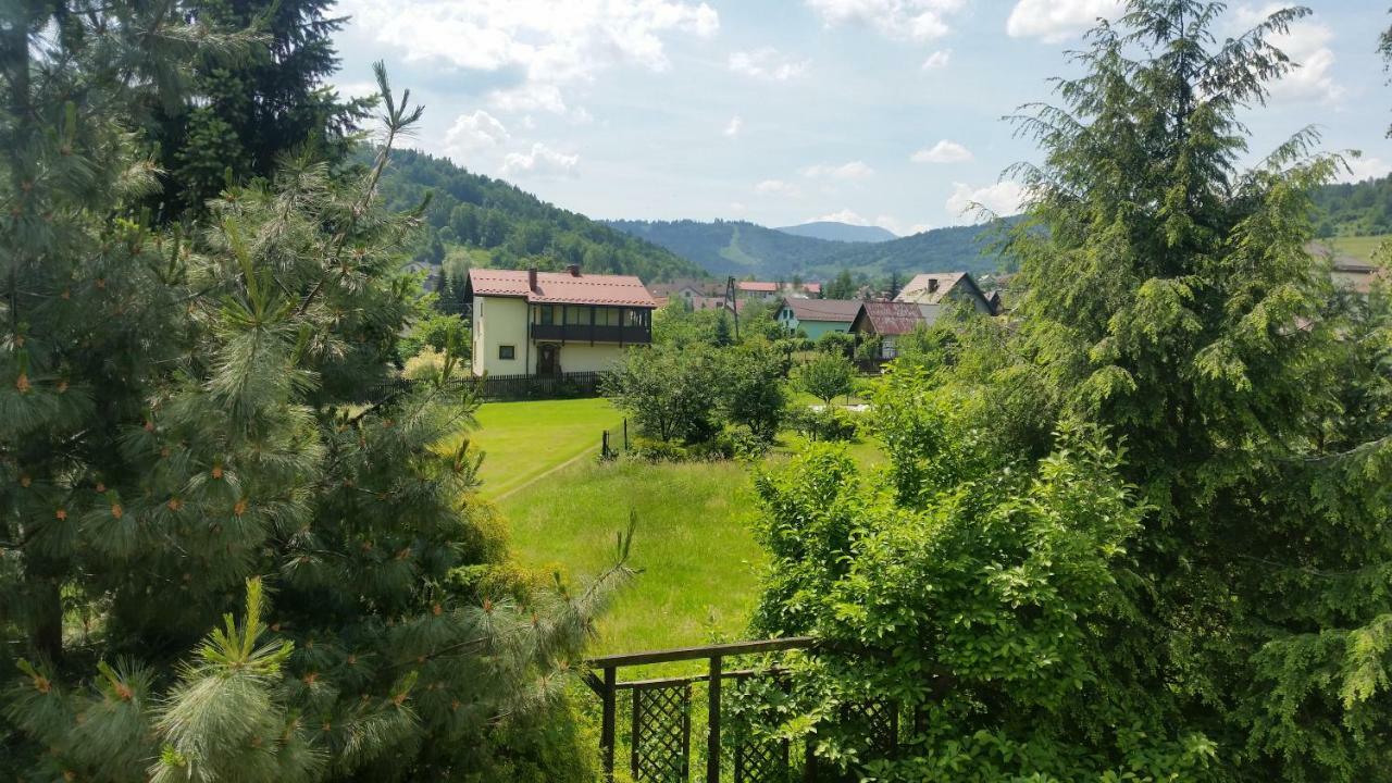 - Brzozowy Zagajnik Swinna