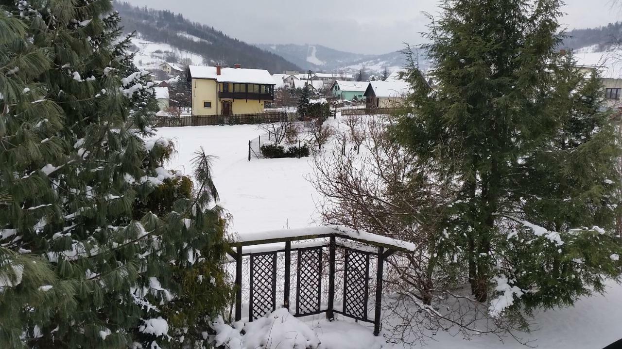 - Brzozowy Zagajnik *