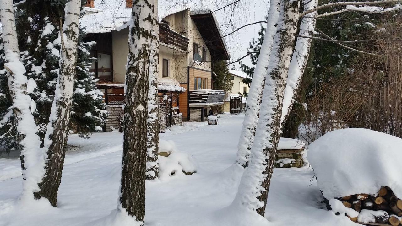 - Brzozowy Zagajnik Apartment